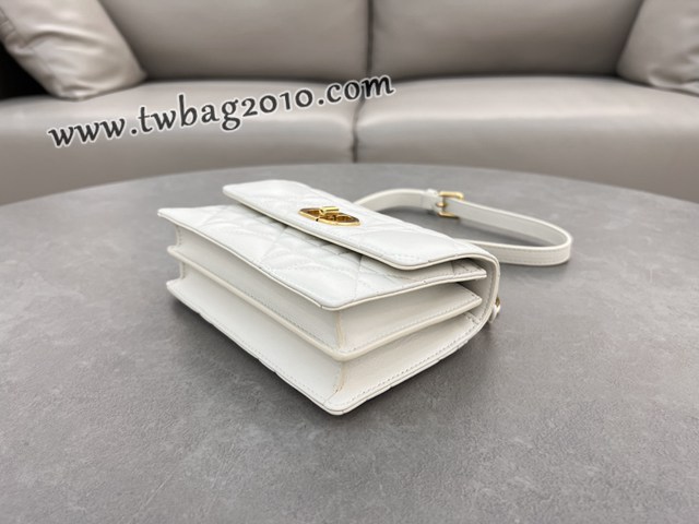 Dior专柜新款迪奥高仿原单白色链条手袋小号斜挎女包 djfk1465